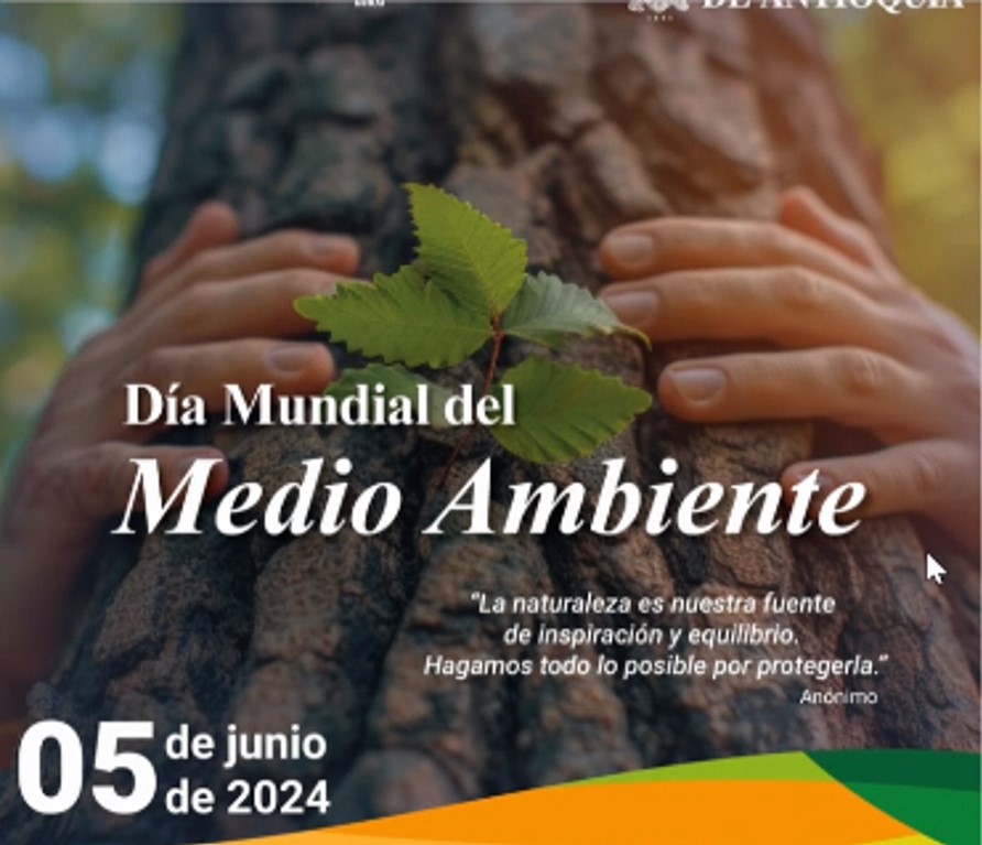 Medioambiente2024907b81db33af
